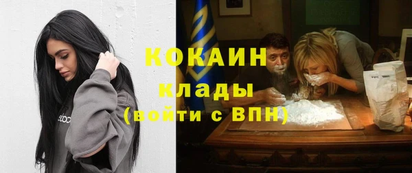 прущие грибы Балахна
