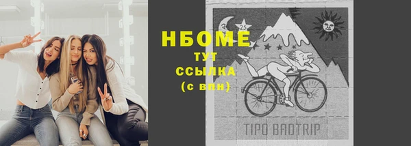 прущие грибы Балахна