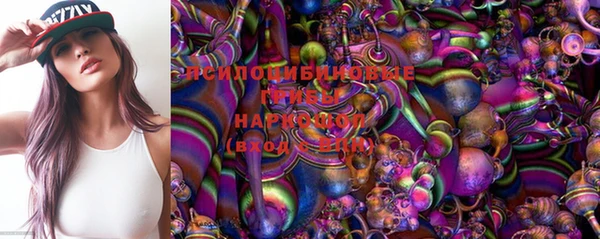 прущие грибы Балахна