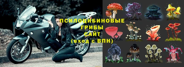 прущие грибы Балахна