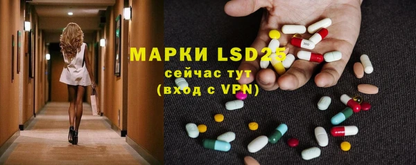прущие грибы Балахна