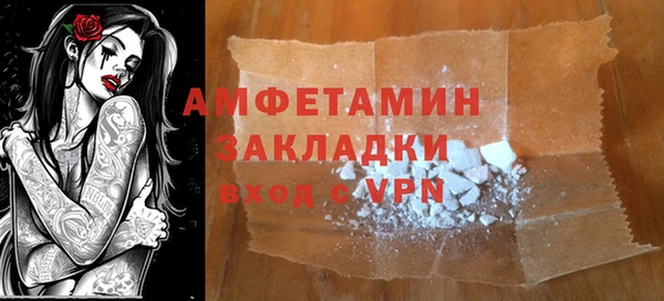 прущие грибы Балахна
