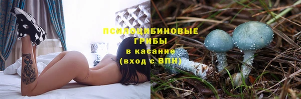прущие грибы Балахна